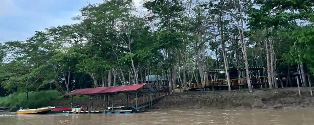 3 Day Borneo Orangutan Adventure-1